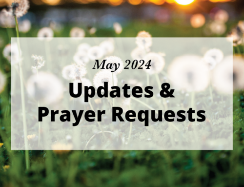 May 2024 Newsletter