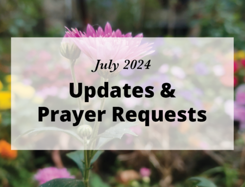 July 2024 Newsletter