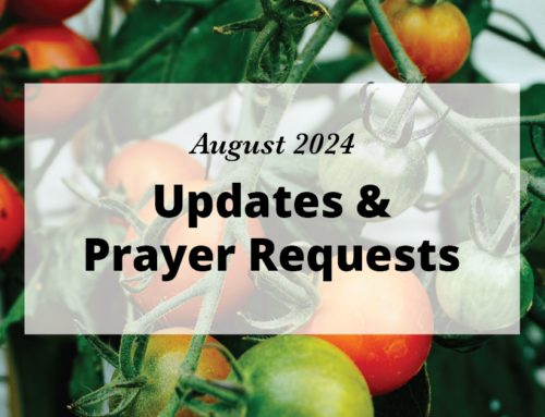 August 2024 Newsletter