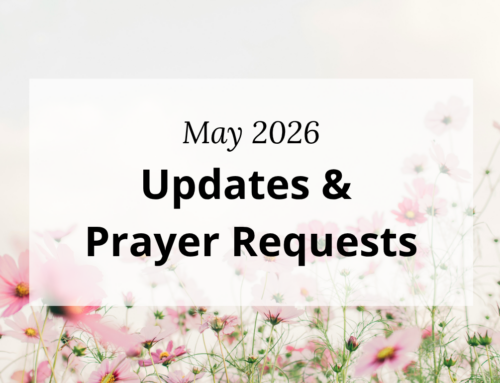 May 2026 Update