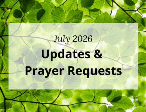 July 2026 Update